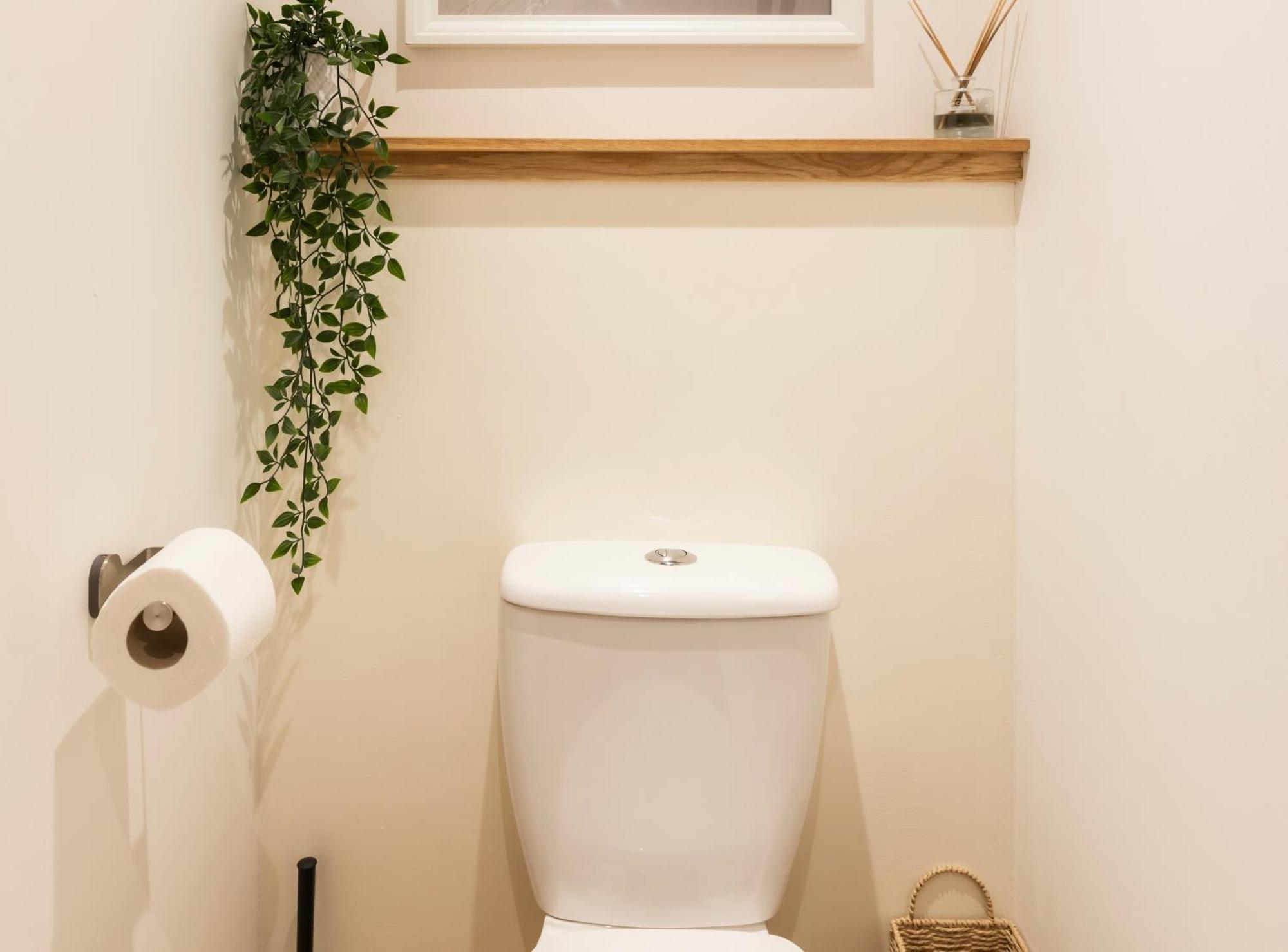 Tucked Away - Seaside Home In Anstruther Sleeps 6 Eksteriør bilde